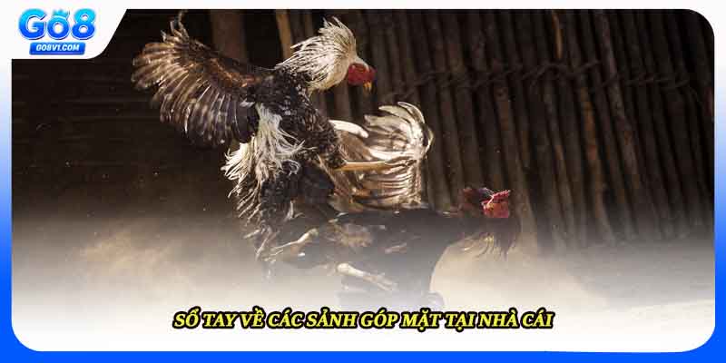 Sổ tay về các sảnh góp mặt tại nhà cái